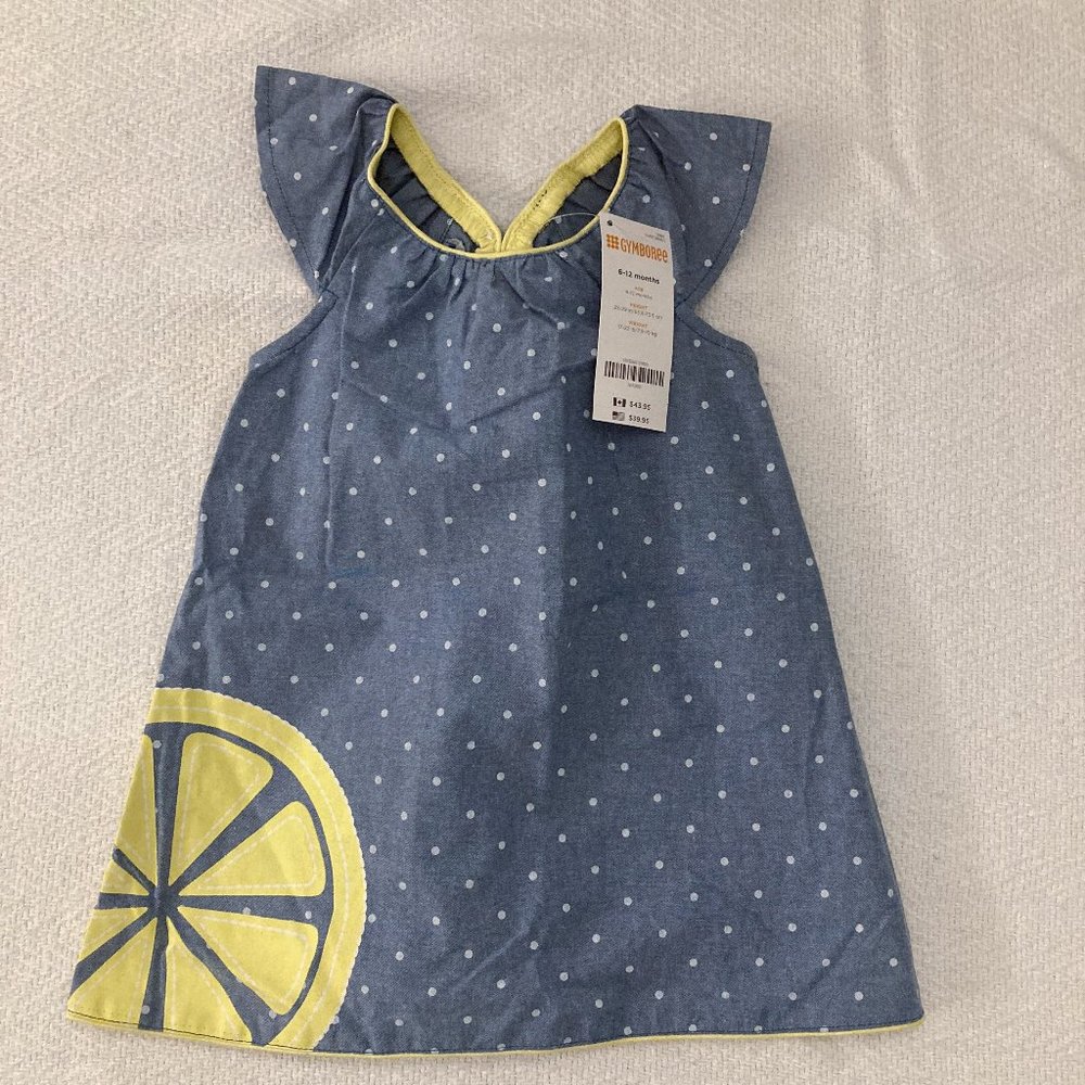 NWT Gymboree Dress